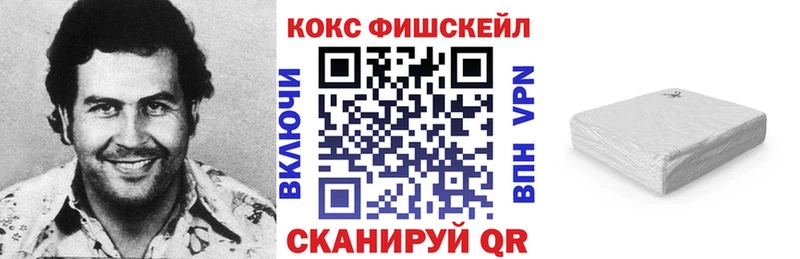 наркотики  Сенгилей  КОКАИН Эквадор 