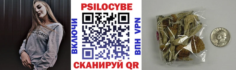 Галлюциногенные грибы Cubensis  закладки  Сенгилей 