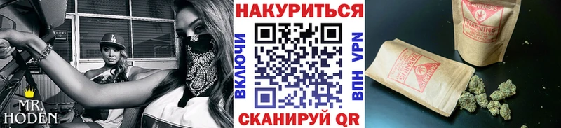 сколько стоит  Сенгилей  маркетплейс какой сайт  Каннабис планчик 